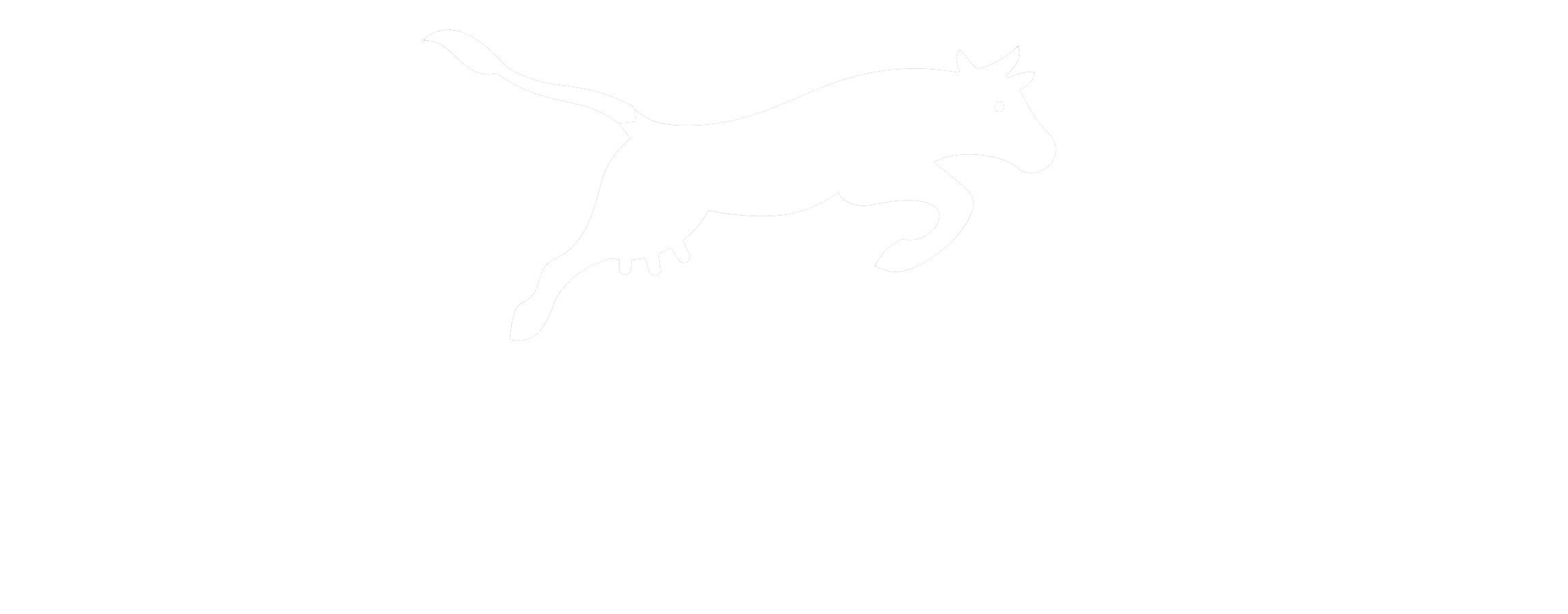 Sati Logo weiss